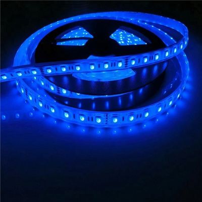 17W/M 5050 geführter wasserdichter Swimmingpool der Leistung- in Watt12v 24V IP68 führte Neonbeleuchtung