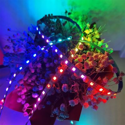 Flexibles 5050 LED Streifen-einzeln zugängliches 60 144 geführtes Pixel Rgb