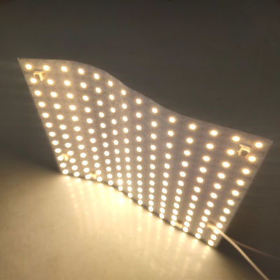 Farbenreiche geführte zugängliche Digital Traumhintergrundbeleuchtung Blatt RGB 5050SMD einzeln