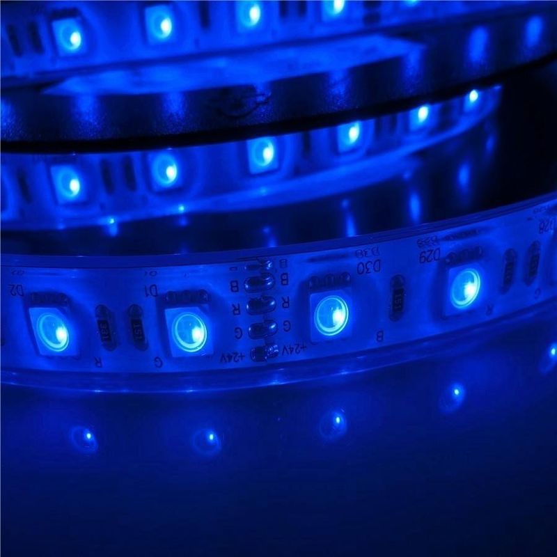 17W/M 5050 geführter wasserdichter Swimmingpool der Leistung- in Watt12v 24V IP68 führte Neonbeleuchtung